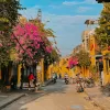 Tour Sơn Trà - Rừng Dừa/ Ngũ Hành Sơn - Hội An - Bà Nà Hills - Cù Lao Chàm 3N2Đ - 3 Sao