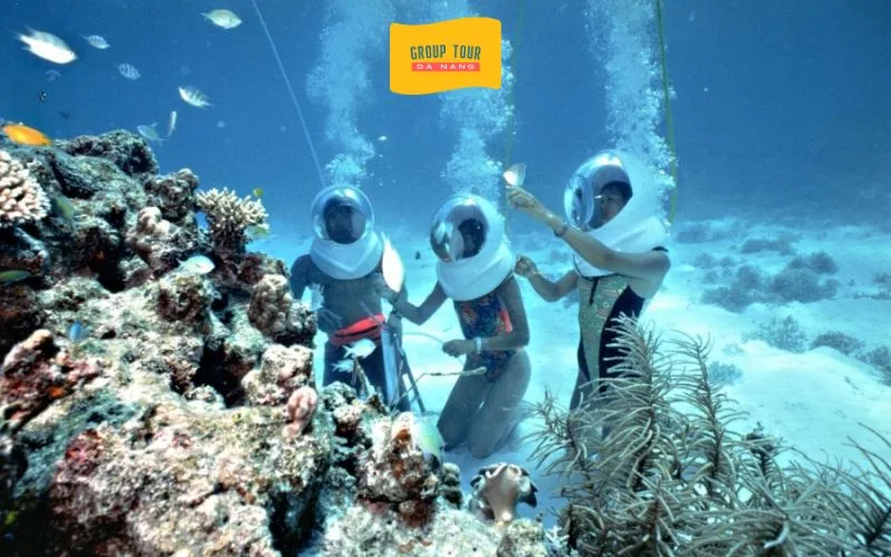 Tour Cù Lao Chàm 1 Ngày Và Đi Bộ Dưới Biển