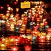 Tour Sơn Trà – Rừng Dừa 7 Mẫu – Hội An