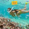Vé Lặn Ngắm San Hô Sơn Trà