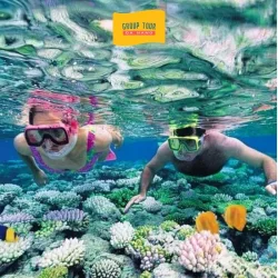 Vé Lặn Ngắm San Hô Sơn Trà