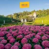 Tour Bà Nà Hills 1 Ngày Từ Đà Nẵng