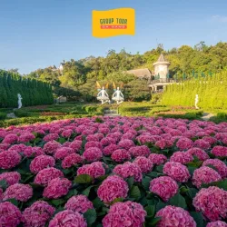 Tour Bà Nà Hills 1 Ngày Từ Đà Nẵng
