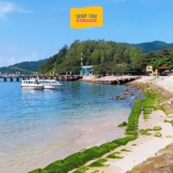 Tour Cù Lao Chàm 1 Ngày