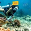 Vé Lặn Biển Đà Nẵng