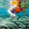 Vé Lặn Biển Đà Nẵng