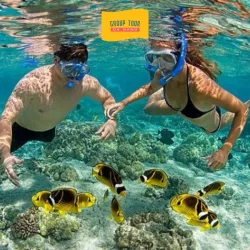 Vé Lặn Biển Đà Nẵng